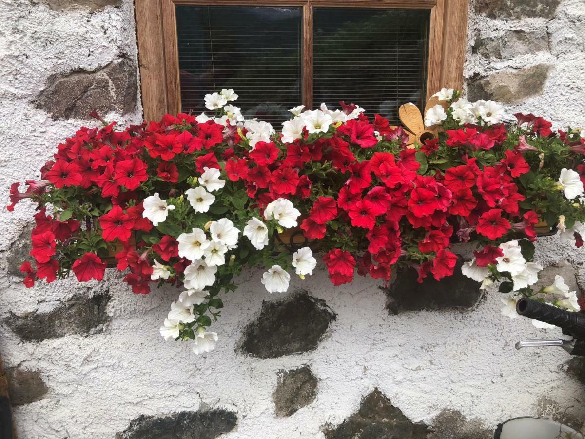 Apartamento Cesa Mia Campitello di Fassa Exterior foto